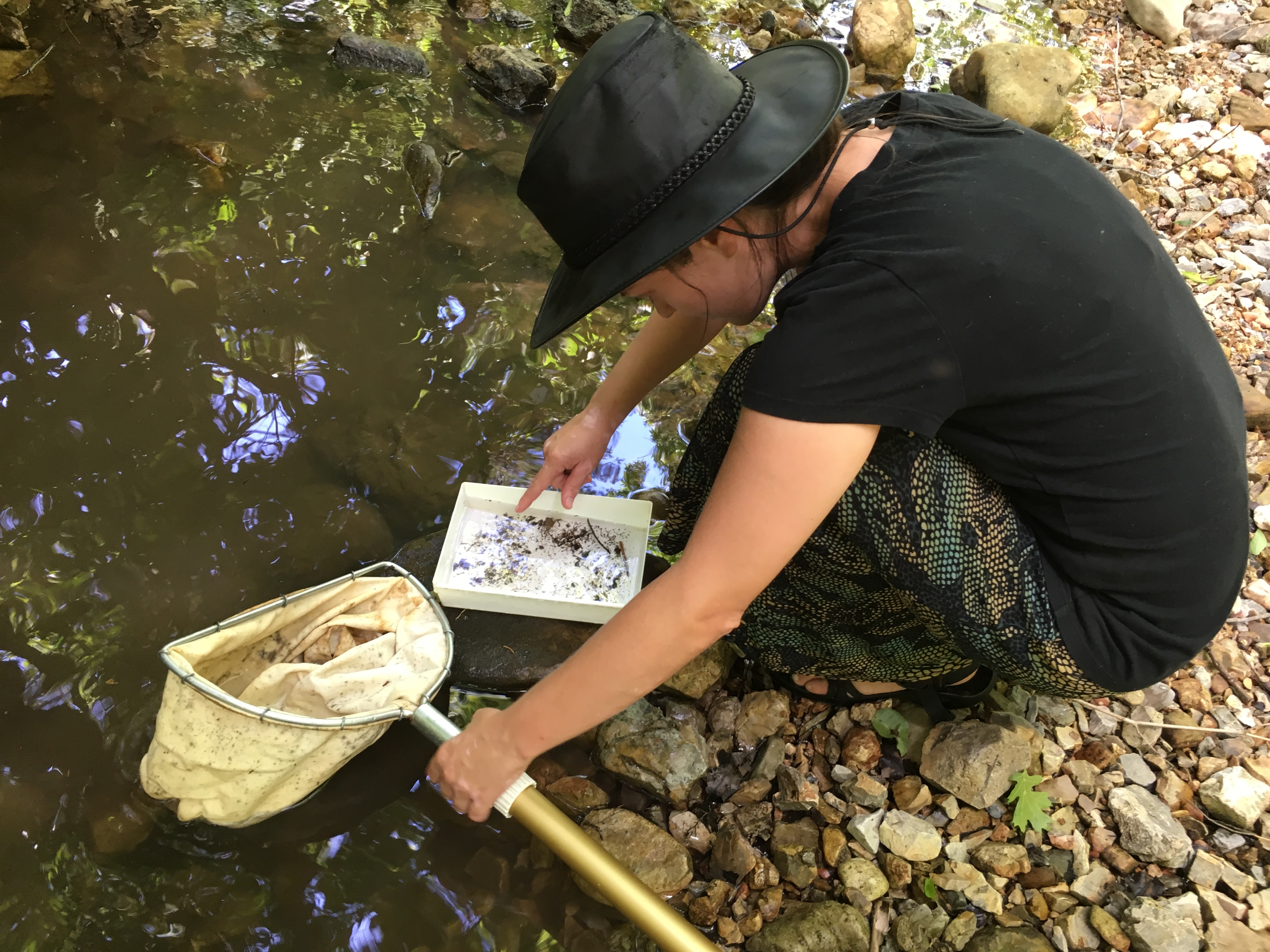 Macroinvertebrate Bioindicators Beaver Water District